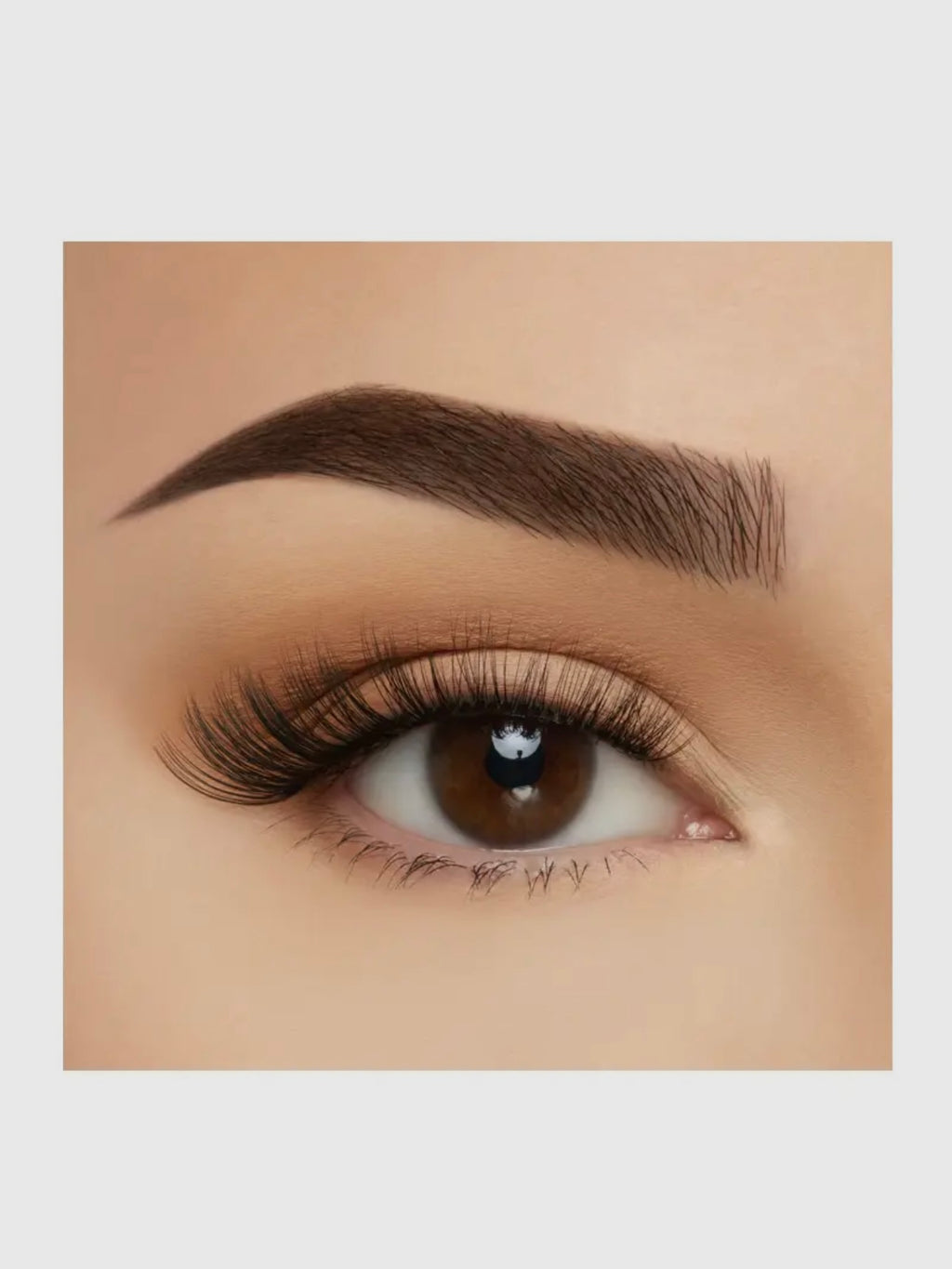 Milan Strip Eyelashes